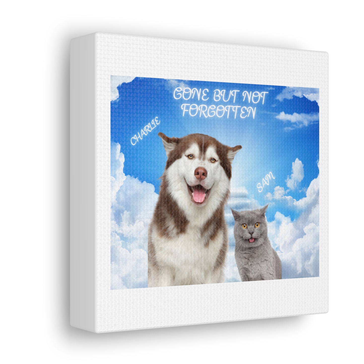 Customize Your Pet Photo Memorial Photo Canvas Gallery Wrap