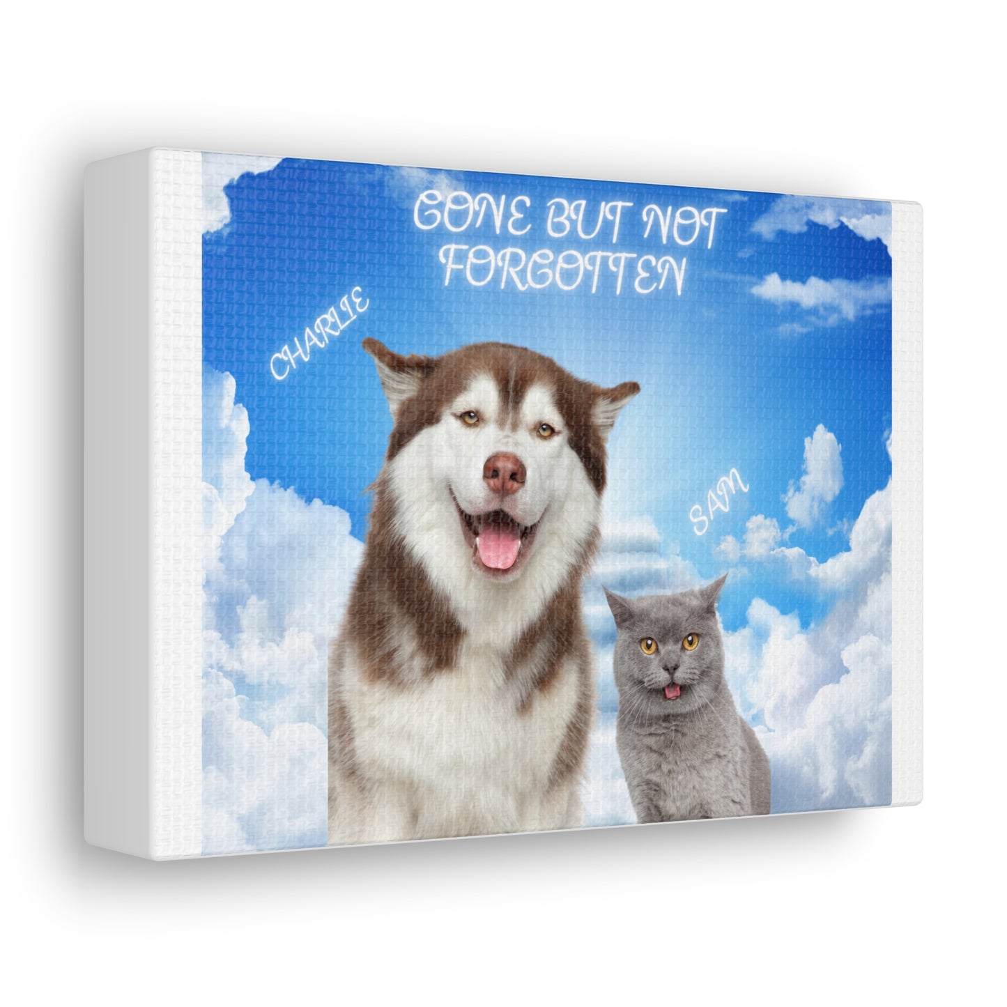 Customize Your Pet Photo Memorial Photo Canvas Gallery Wrap