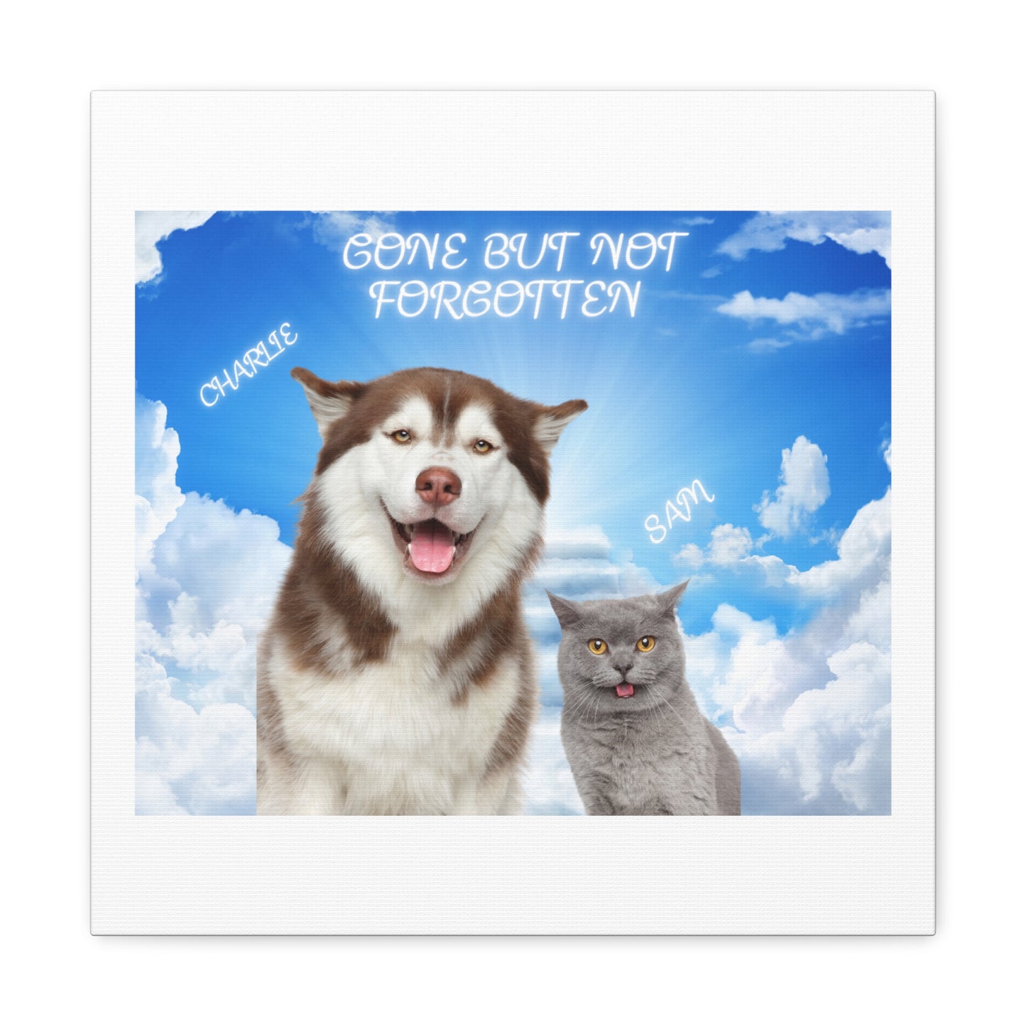 Customize Your Pet Photo Memorial Photo Canvas Gallery Wrap