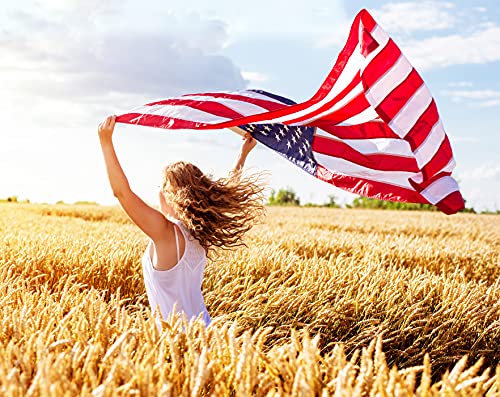 American Flag 3x5 Ft Outdoor Heavy Duty,100% in USA Longest Lasting American Flags For Outside 3x5,American Flag 3x5 Embroidered Stars,Us Flags 3x5 Outdoor Best In Usa High Wind Stitched Stripes,Outdoor 3x5 American Flag Nylon,Embroidered Outside All Weat